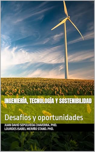 Capa de Ingeniería, Tecnología y Sostenibilidad: Desafíos y oportunidades (Spanish Edition)
